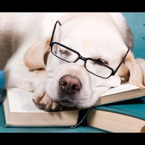 Meet your Posher, Mary lou